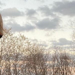 Meet your Posher, Luna